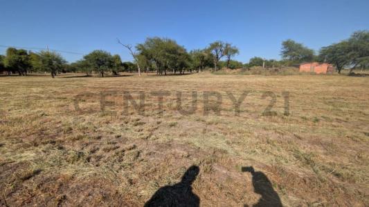 silbertal , Cruce Boquerón, Boquerón 00001, Paraguay