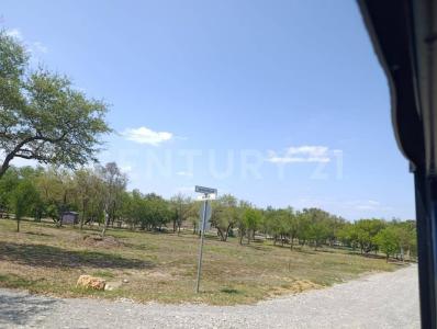 Montemorelos, Nuevo León 67617, Mexiko