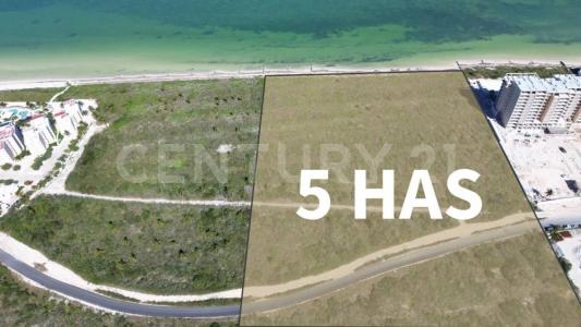 Kinuh ,, Telchac Puerto, Yucatan 97407, Mexico