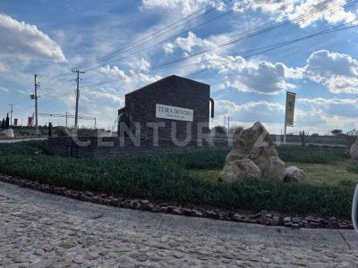 TERRADENTRO LOTE 114  MANZANA 4,, Lagos De Moreno, Jalisco 47524, Messico