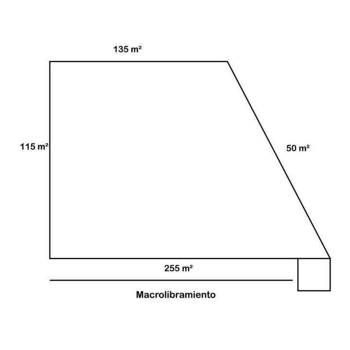 Tonala, ولاية خاليسكو 45417, المكسيك