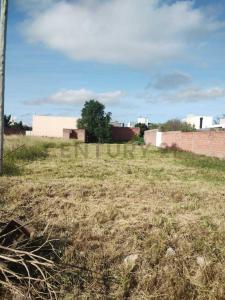 Witcomb 2945, Bahía Blanca, Buenos Aires (fuera De GBA) 8000, Аргентина