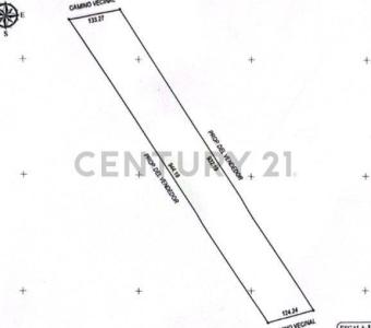 Este, Santa Cruz 00001, Bolivie