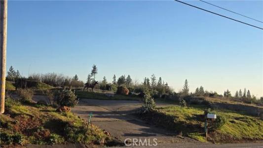 13668 W Park Drive, Magalia, Californie 95954, États-Unis