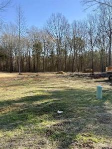 17184 CR 479 (Lot 2), Lindale, Texas 75771, USA