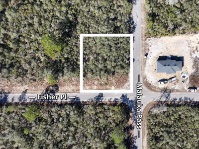 Fisher Pass, OCKLAWAHA, Floride 32179, États-Unis