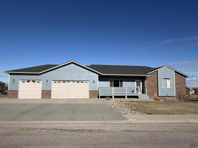 14828 Fox Trail, Box Elder, SD 57719, USA