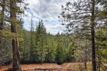 NNA Elk Street, Sandpoint, Idaho 83864, Amerika Birleşik Devletleri