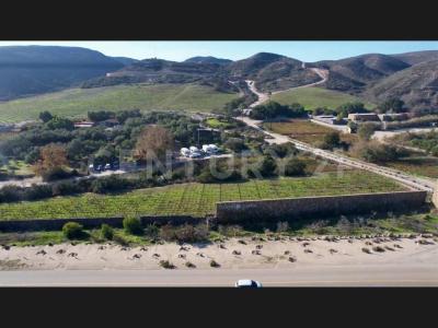 Ensenada, Baja California 22760, Mexico