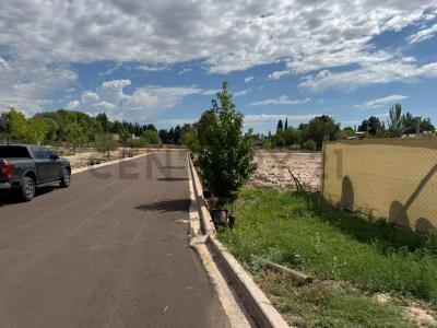 Chacras De Coria, Mendoza 5505, Argentina