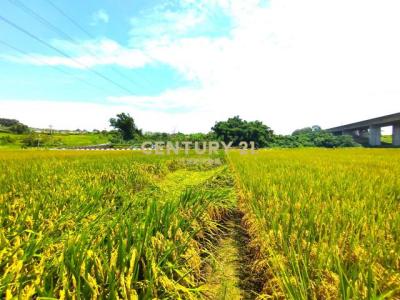 官田, Guantian Dist., مدينة تاينان 720, تايوان