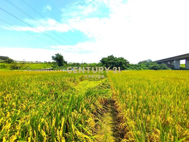 官田, Guantian Dist., مدينة تاينان 720, تايوان