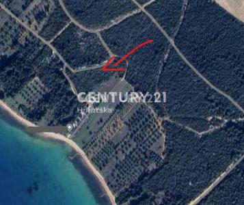 Biograd na Moru, Biograd Na Moru, Zadarska Županija 23210, 克羅地亞