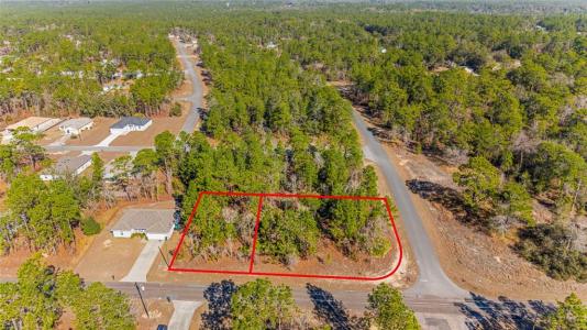 6932 N Glenridge Circle, Citrus Springs, Florida 34434, Stati Uniti