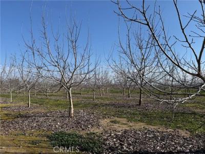 Mcfadden Lane, Chico, California 95928, Estados Unidos