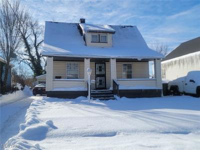 12508 Revere Avenue, Cleveland, Ohio 44105, USA