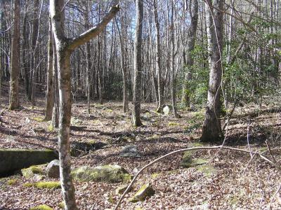 151c Indian Trails Drive 60, Spencer, Tennessee 38585, Stati Uniti