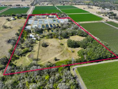 20112 Hobbs Rd, Wimauma, Florida 33598, USA