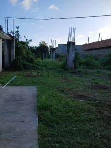 Calle Principal Terreno, La Asunción, Nueva Esparta 6310, فنزويلا