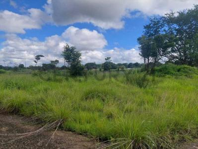 Tinaquillo, Cojedes 2209, Venezuela