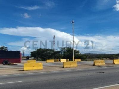 San Juan Bautista, Nueva Esparta 6301, فنزويلا