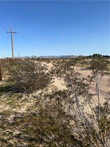 45850 Barrett, Newberry Springs, Californie 92365, États-Unis