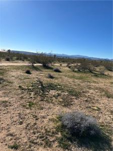 326 Surrey, Landers, Californie 92285, États-Unis