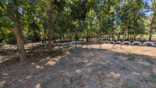 Osterwick , Loma Plata, Boquerón 00001, 파라과이