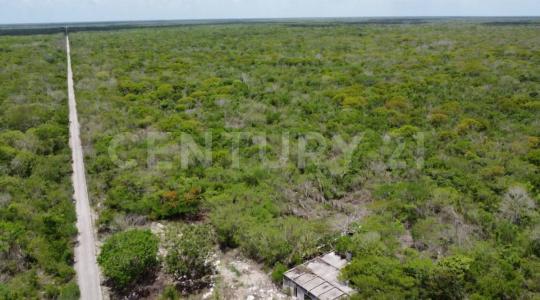 Carretera el Tajo S/N,, Dzilam De Bravo, Yucatán 97606, Mexico
