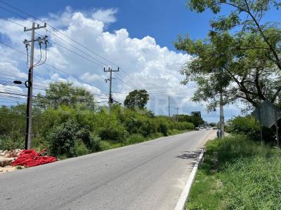 Mérida, Yucatan 97238, Mexique