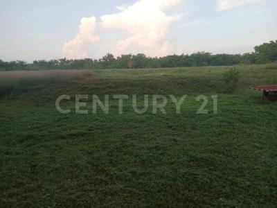 Tecoman, Colima 28900, Mexico