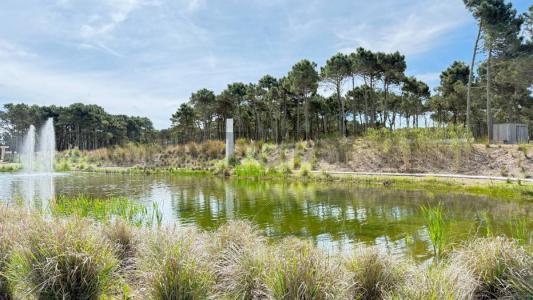 Pinamar, Buenos Aires Costa Atlántica 7167, Argentina