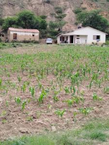 Sucre, Chuquisaca 00001, Boliwia