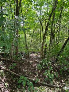 0 Shadrick Ferry Road, Frankfort, Kentucky 40601, USA