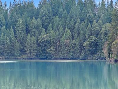 17871 Rollins View Drive, Grass Valley, كاليفورنيا 95945, الولايات المتحدة
