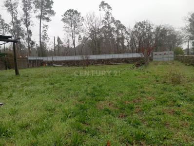 Barcelos, Braga 4750-000, Portugal