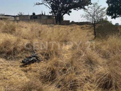 Calzada de las tortolas Lt 14 Mz9,, Nicolás Romero, Stato Del Messico 54463, Messico