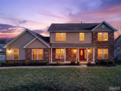 901 Silverlink Drive, O'Fallon, Illinois 62269, USA