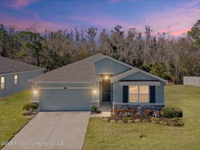 2873 Storybrook Preserve Drive, Odessa, Florida 33556, USA