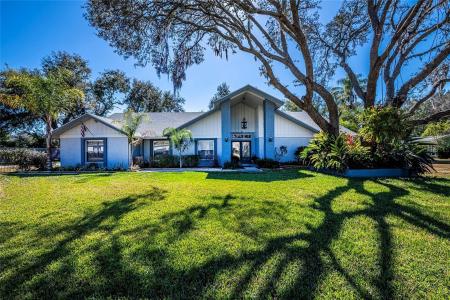 15912 ARMISTEAD LANE, ODESSA, Florida 33556, USA