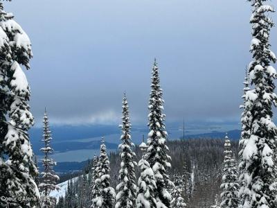 L3 B2 Tall Timber, Sandpoint, アイダホ 83864, アメリカ合衆国