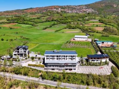 Periferia Dibër, Dibër, Albania