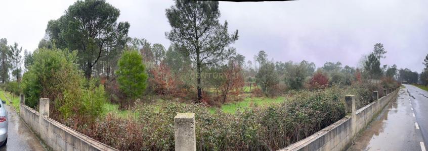 Viseu, Viseu 3510-898, Portugal