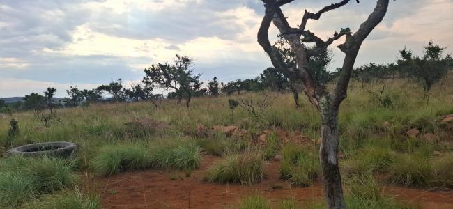 Bela Bela, Limpopo, South Africa