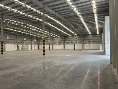 Saltillo, 코아우일라 25107, 멕시코