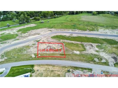Lot 4 Block 5 Abby Road, Billings, Montana 59106, États-Unis
