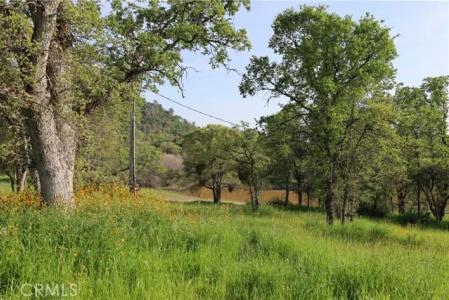 10 Douglas Road, Coar, California 93614, USA
