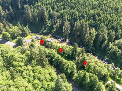 Tax Lot # Tl00501 Little Nestucca River, Cloverdale, 奧勒崗州 97112, 美國