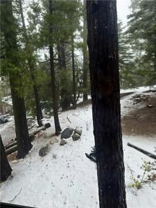 1044 Nesthorn Drive, Crestline, California 92325, Stati Uniti