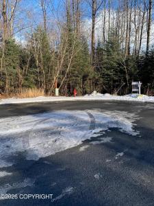 1812 Parks Place, Seward, Alaska 99664, Stati Uniti